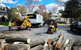 Best Lawn Drainage Solutions  in Fruit Hill, OH