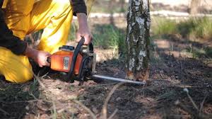 Best Lawn Irrigation Installation and Maintenance  in Fruit Hill, OH