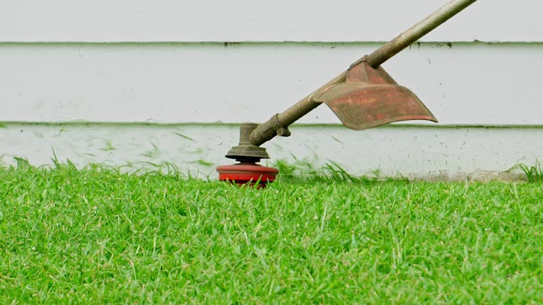Best Stump Grinding and Removal  in Fruit Hill, OH
