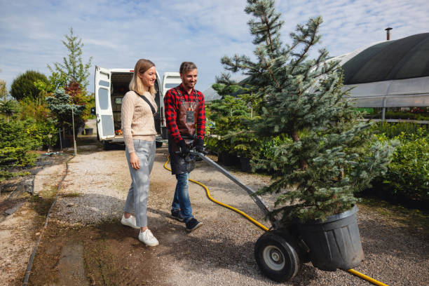 Best Tree Removal  in Fruit Hill, OH